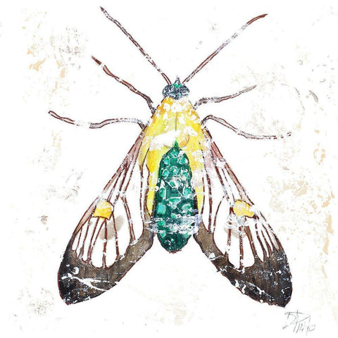 Wild Butterfly Black Modern Wood Framed Art Print by Pinto, Patricia