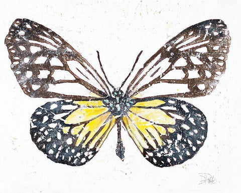 New Butterfly White Modern Wood Framed Art Print with Double Matting by Pinto, Patricia