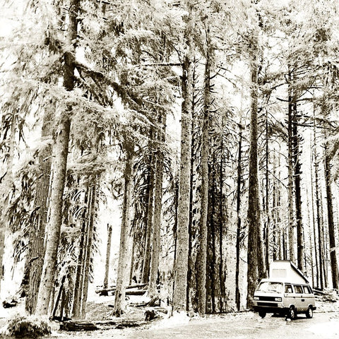 Snow In The Forest White Modern Wood Framed Art Print with Double Matting by Wilson, Kali