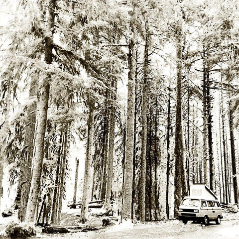 Snow In The Forest White Modern Wood Framed Art Print by Wilson, Kali