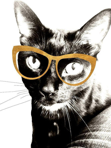 Cool Kat Black Ornate Wood Framed Art Print with Double Matting by Wilson, Kali