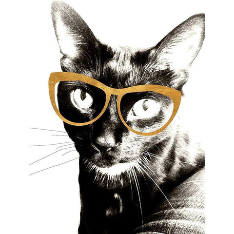 Cool Kat Black Modern Wood Framed Art Print by Wilson, Kali