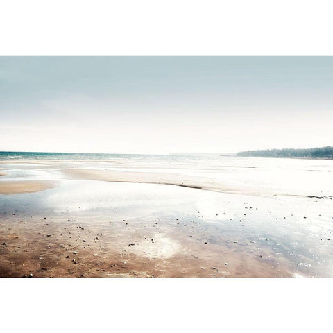 After Storm White Modern Wood Framed Art Print by Wilson, Kali