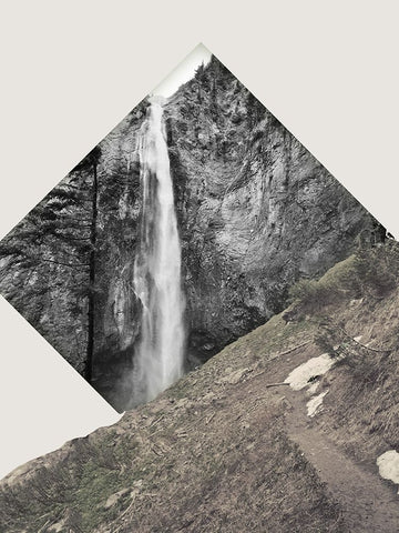 Nature Dynamics II Black Ornate Wood Framed Art Print with Double Matting by Wilson, Kali