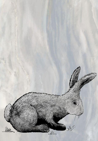 Bunny on Marble IV Black Ornate Wood Framed Art Print with Double Matting by Diannart