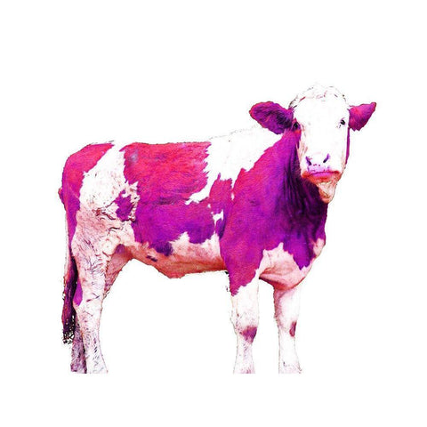 Bright Violet Swiss Cow White Modern Wood Framed Art Print by Hyler, JB