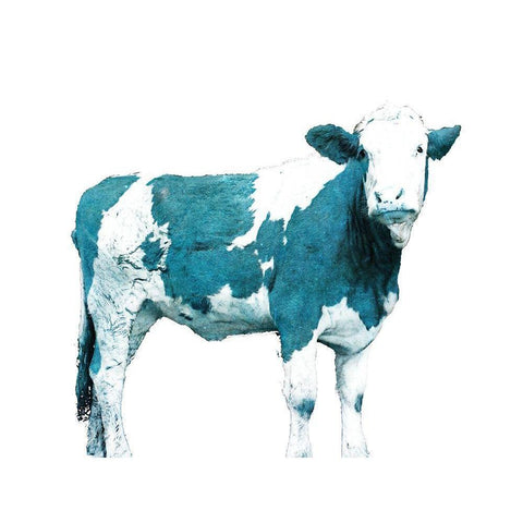 Bright Blue Swiss Cow White Modern Wood Framed Art Print by Hyler, JB