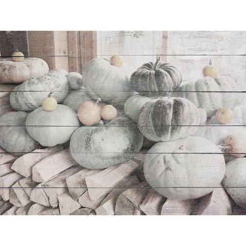 Pumpkins in Fall White Modern Wood Framed Art Print by Hyler, JB