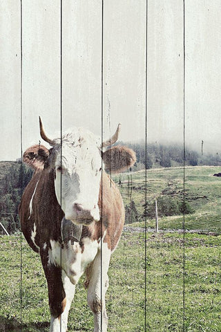 Country Cow on Wood Black Ornate Wood Framed Art Print with Double Matting by Hyler, JB