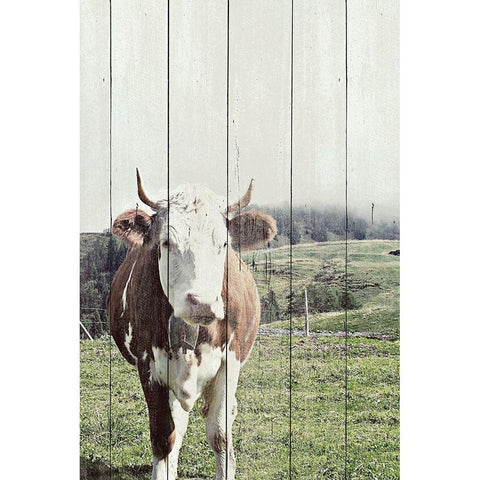 Country Cow on Wood Black Modern Wood Framed Art Print by Hyler, JB