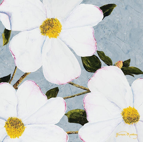 White Floral II White Modern Wood Framed Art Print with Double Matting by Redding, James