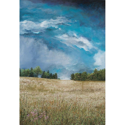 Approaching Storm (no barn) Black Modern Wood Framed Art Print by Redding, James