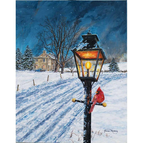Winterberry Lamppost White Modern Wood Framed Art Print by Redding, James