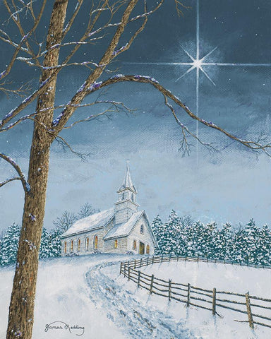 Shining Holiday Star Black Ornate Wood Framed Art Print with Double Matting by Redding, James