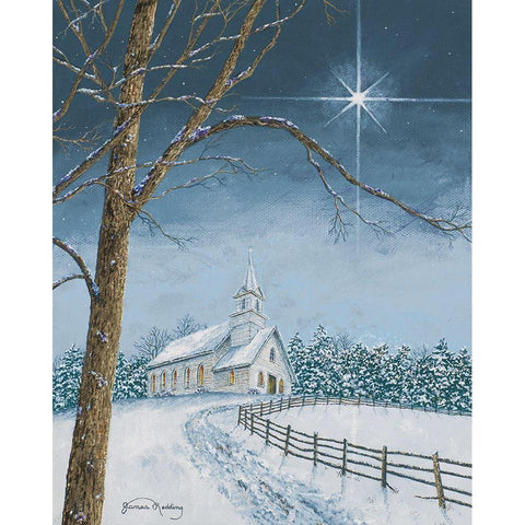 Shining Holiday Star Black Modern Wood Framed Art Print with Double Matting by Redding, James