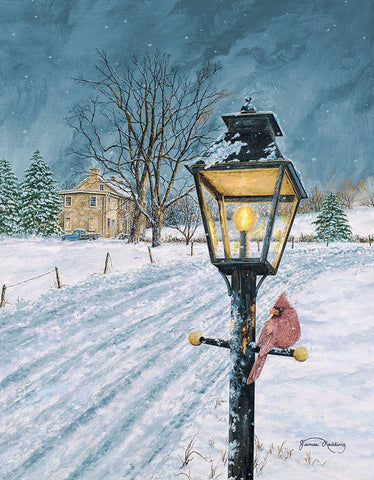 Winter Bird White Modern Wood Framed Art Print with Double Matting by Redding, James