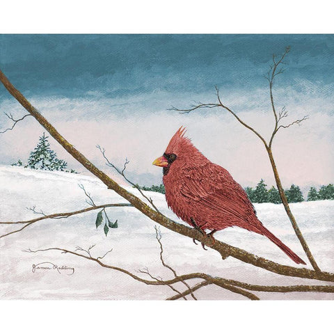Auburn Cardinal Black Modern Wood Framed Art Print by Redding, James