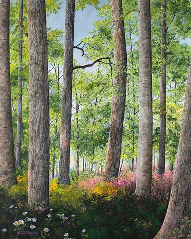Enchanted Forest Black Ornate Wood Framed Art Print with Double Matting by Redding, James