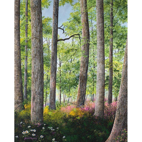 Enchanted Forest Black Modern Wood Framed Art Print by Redding, James