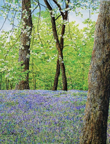 Blue Bells White Modern Wood Framed Art Print with Double Matting by Redding, James