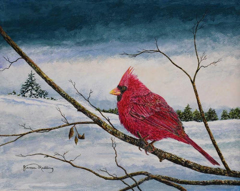 Cardinal In A Pastel Sky Black Ornate Wood Framed Art Print with Double Matting by Redding, James