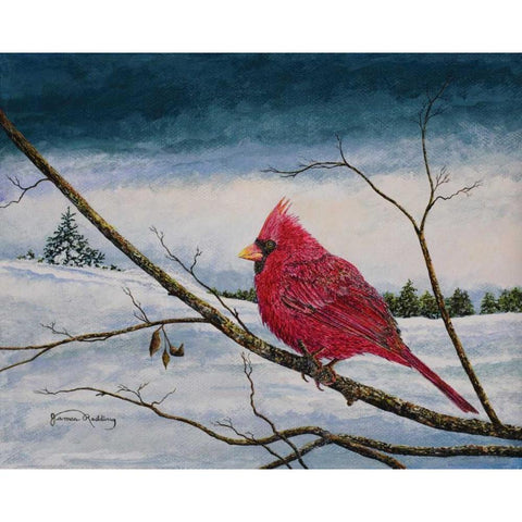 Cardinal In A Pastel Sky Black Modern Wood Framed Art Print by Redding, James