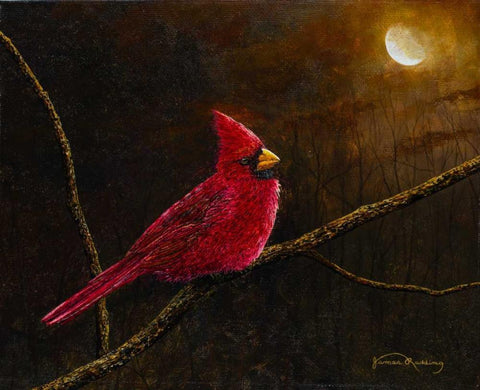 Cardinal In The Moonlight White Modern Wood Framed Art Print with Double Matting by Redding, James