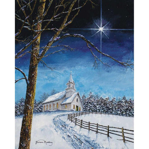 Bright Star Black Modern Wood Framed Art Print by Redding, James