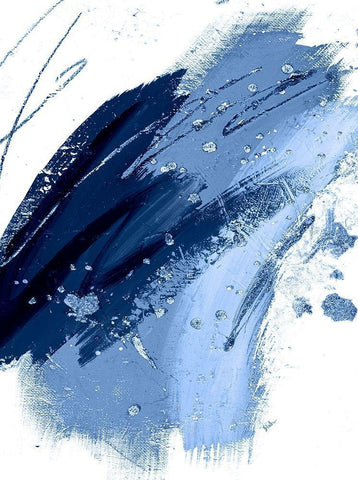 Blue Discovery Black Ornate Wood Framed Art Print with Double Matting by Pinto, Patricia