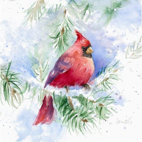 Cardinal in Snowy Tree White Modern Wood Framed Art Print by Loreth, Lanie