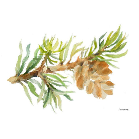 Fir Tree Branch and Cone White Modern Wood Framed Art Print by Loreth, Lanie