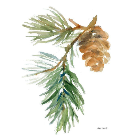 Pine Branch and Cone Gold Ornate Wood Framed Art Print with Double Matting by Loreth, Lanie