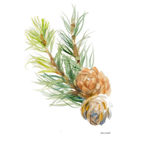 Spruce Branches and Two Cones White Modern Wood Framed Art Print by Loreth, Lanie