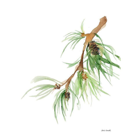 Pine Branch White Modern Wood Framed Art Print by Loreth, Lanie