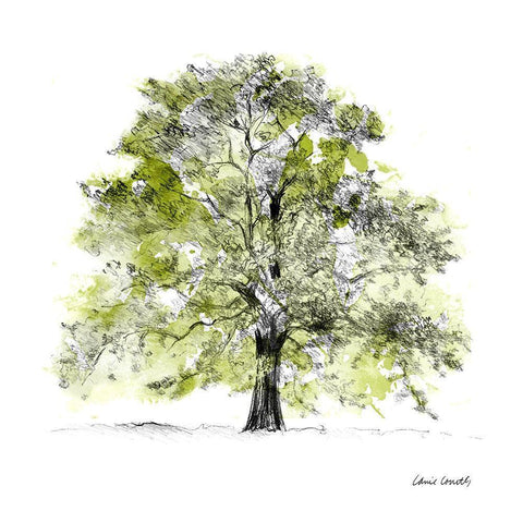 Tree with Green Leaves II White Modern Wood Framed Art Print with Double Matting by Loreth, Lanie