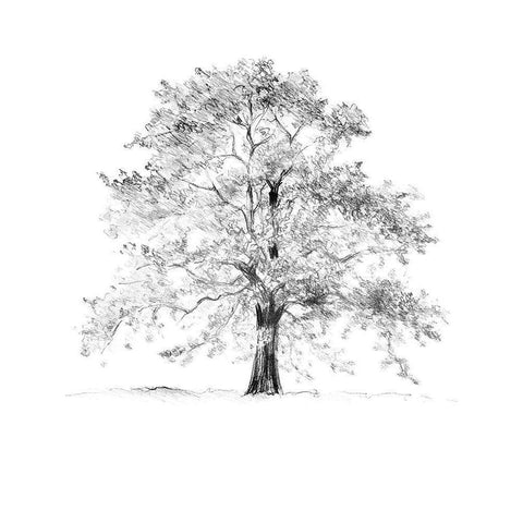 Tree II White Modern Wood Framed Art Print by Loreth, Lanie