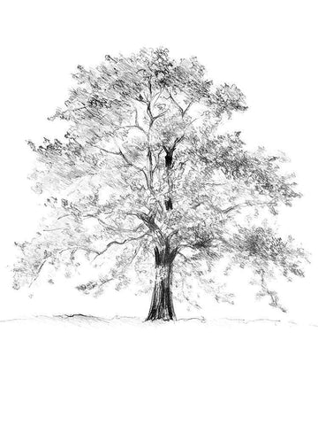 Tree II White Modern Wood Framed Art Print with Double Matting by Loreth, Lanie