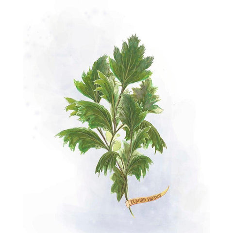 Fresh Herbs I White Modern Wood Framed Art Print by Diannart