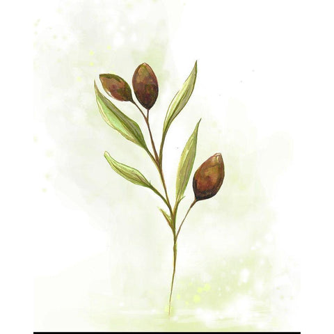 Fresh Herbs VI White Modern Wood Framed Art Print by Diannart