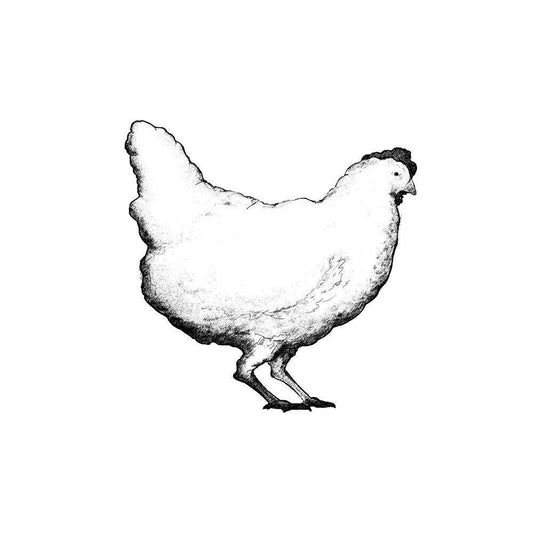 Image Only