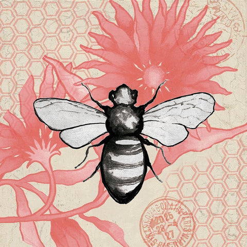 Bee on Pink Flower Square White Modern Wood Framed Art Print with Double Matting by Medley, Elizabeth