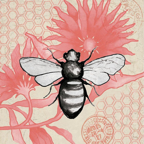 Bee on Pink Flower Square Black Modern Wood Framed Art Print by Medley, Elizabeth