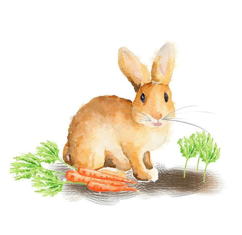 Spring Bunny III White Modern Wood Framed Art Print with Double Matting by Metz, Andi