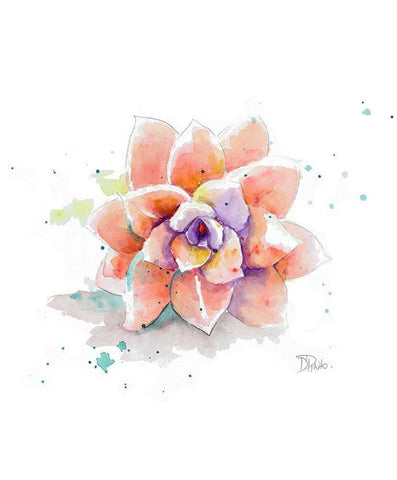 Peach Succulent Black Ornate Wood Framed Art Print with Double Matting by Pinto, Patricia