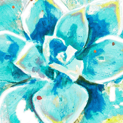 Aqua Succulent Close Up White Modern Wood Framed Art Print by Pinto, Patricia