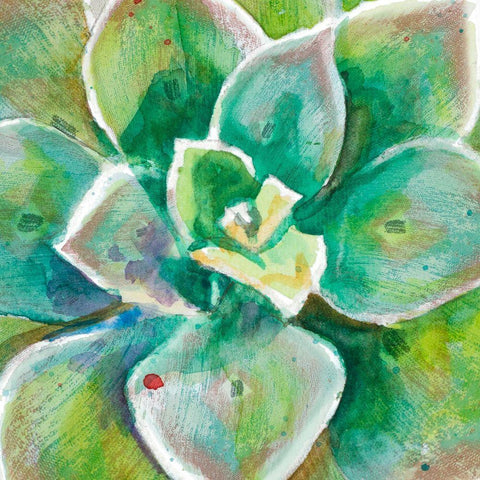 Green Succulent Close Up Black Ornate Wood Framed Art Print with Double Matting by Pinto, Patricia