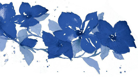Image Only