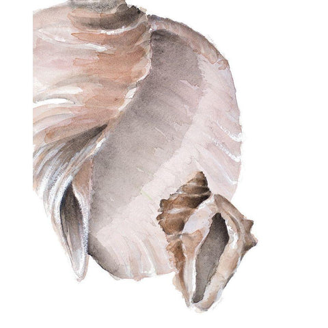 Tonal Shell II White Modern Wood Framed Art Print by Loreth, Lanie