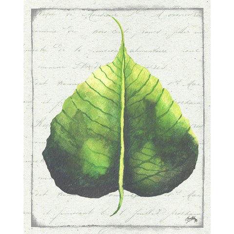 Emerald Leaf II Black Modern Wood Framed Art Print with Double Matting by Medley, Elizabeth