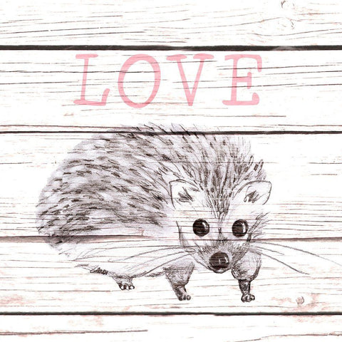 Hedgehog Love White Modern Wood Framed Art Print with Double Matting by Metz, Andi